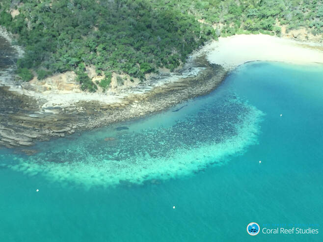 공중에서 촬영한 호주 레이트배리어리프의 백화현상 모습. 호주연구협의회(ARC) 산호초연구센터 제공.