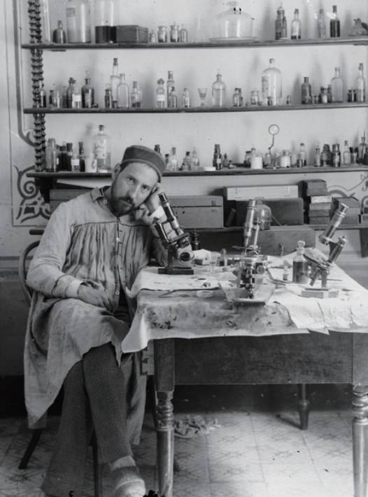 Cajal Institute(CSIC), Madrid 제공