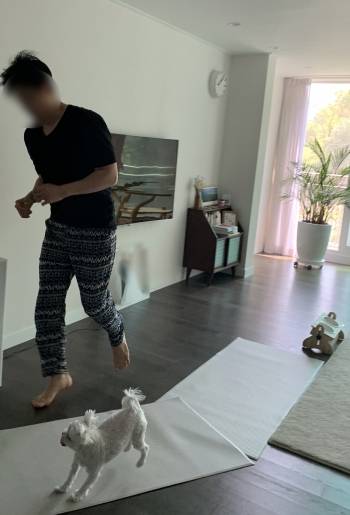 산책을 무서워해서, 미끄럼방지 패드를 깔아주고 집에서 논다. 층간소음 고충을 잘 알기에, 매우 조심해서 살살 다닌다./사진=남형도 기자 아내