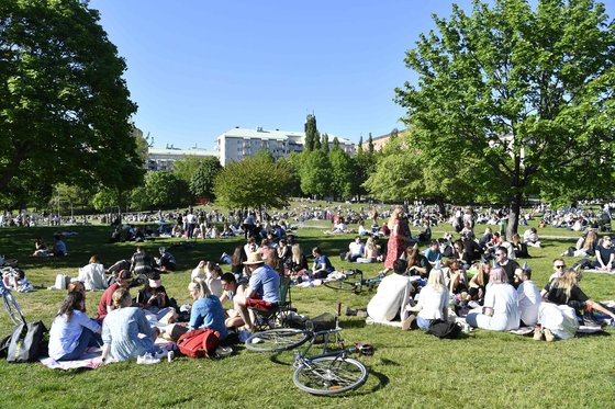 스웨덴 사람들이 지난 5월 30일 스웨덴 스톡홀롬의 한 공원에 모여 여가를 즐기고 있다. 코로나19 확산에 스웨덴은 강력한 봉쇄 대신 '일상 방역' 방식으로 대응해왔다. [AFP=연하뉴스]