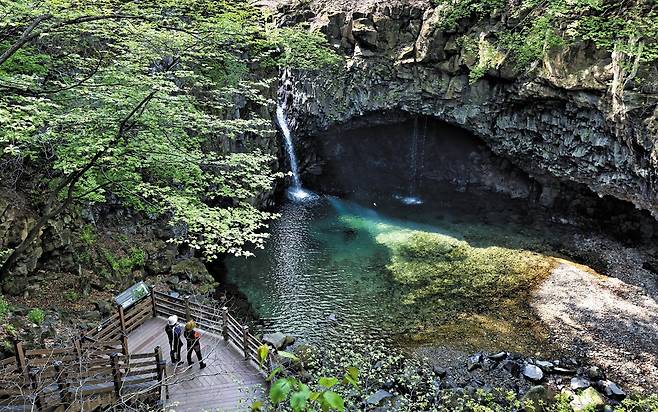 포천의 비경 중 하나인 비둘기낭폭포. 협곡 사이에 숨어 있는 동굴과 폭포, 에메랄드 물빛이 신비롭다. /한준호 영상미디어 기자
