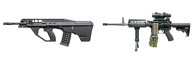 다산기공이 생산한 소총들. DSR90(왼쪽). DSMG556. [다산기공]