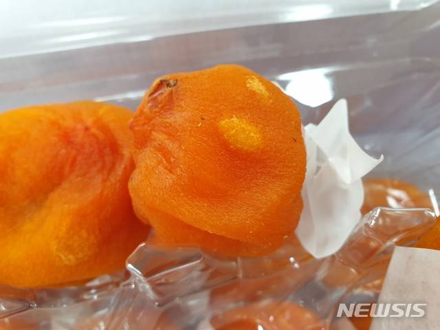 감 노린재 방재 (사진=상주시 제공)