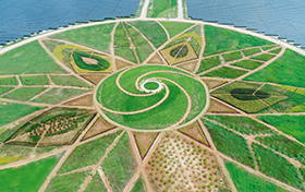 한양이 해남 ‘솔라시도’에 지은 태양광 발전소 중앙에 있는 4만5000평 규모 초대형 공원 ‘선가든’. /한양