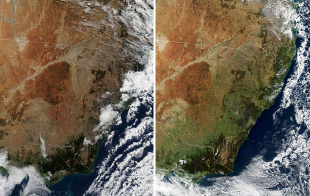 미국 항공우주국 지구관측소(NASA Earth Observatory)가 공개한 위성사진에서는 2018년 5월 가뭄으로 황폐해졌던 호주 남동부 일대에 2020년 6월 울창한 녹지가 펼쳐진 것을 확인할 수 있다./사진=미국 항공우주국 지구관측소