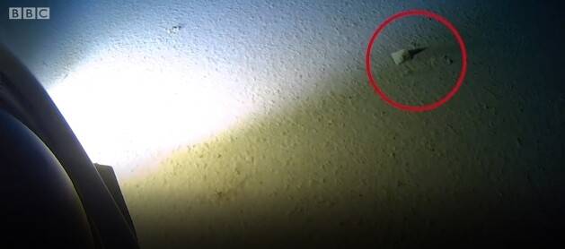 마리아나해구에서 발견된 비닐봉지. 비비시 화면