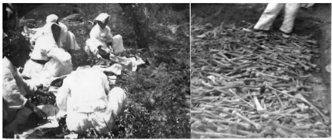 ⓒ5·16쿠데타인권침해사건 위원회1960년 경북 청도군에서 발굴된 밀양 지역 피학살자의 유골을 유족들이 수습하고 있다.