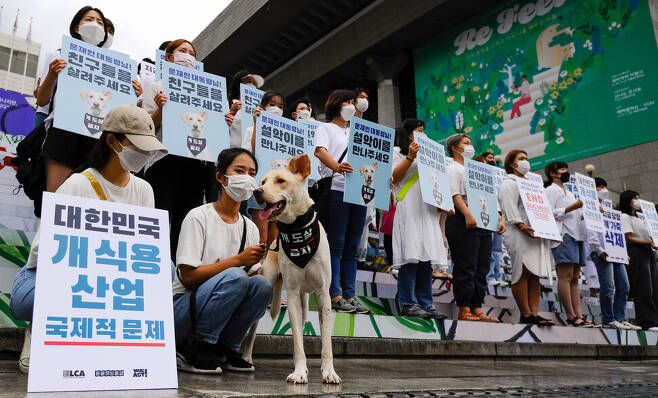 22일 낮 서울 광화문 세종문화회관 앞에서 동물단체들이 ‘개도살 식용금지’ 집회를 열고 청와대에 공개서한을 전달했다. 동물해방물결 제공