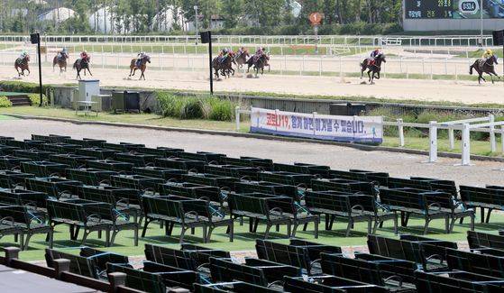 한국마사회가 직원의 10% 이상을 감축하는 내용의 구조조정안을 검토하고 있다. 사진은 지난달 과천 렛츠런파크 경마장에서 무관중 경마가 재개된 모습. 중앙포토