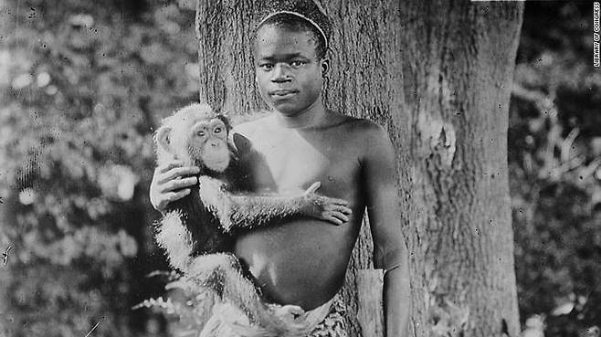 현재 콩고 지역의 부족 출신인 뱅가는 미국으로 납치된 뒤 뉴욕 브롱크스 동물원에서 오랑우탄과 한 우리에 지내며 인간 이하의 시간을 보내야 했다