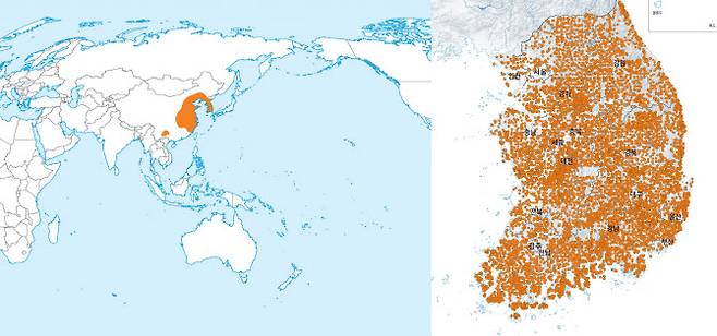 왼쪽부터 2016년 기준 세계 고라니 서식지, 한국의 고라니 분포도 (사진=국립생태원)