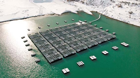스위스 남서부 부르 생 피에르의 산악지대에 있는 호수에 부유식 태양광 패널이 설치돼 있다. [AP=연합뉴스]