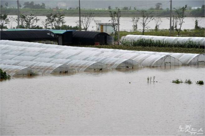 집중호우로 임진강 수위가 높아진 지난 6일 오후 경기도 연천군 군남면 농경지가 물에 잠겨 있다. (사진=박종민 기자/자료사진)