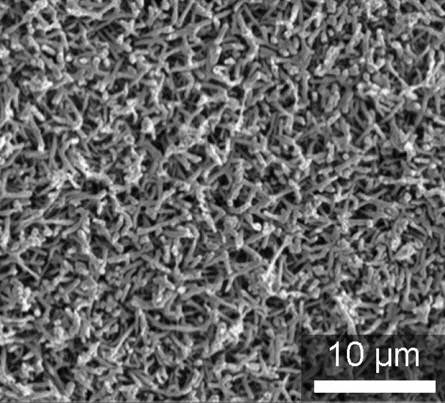 IBS와 울산과학기술원(UNIST), 포스텍 공동연구팀이 나노와이어 기술을 활용해 개발한 실리콘 음극소재 /사진제공=울산과학기술원