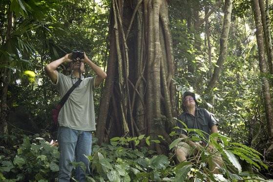 인도네시아에서 월러스 대왕 벌을 찾기 위해 수색 중인 연구팀. Global Wildlife Conservation