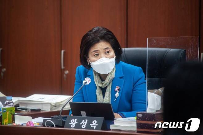 왕성옥 경기도의원/© 뉴스1