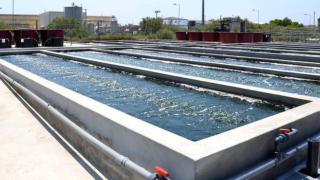 해초를 내륙에서 재배하는 곳도 있다