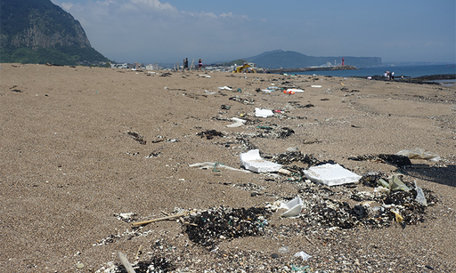 지난달 16일 제주 사계 해변에 스티로폼 쓰레기들이 버려져 있는 모습. 녹색연합 제공