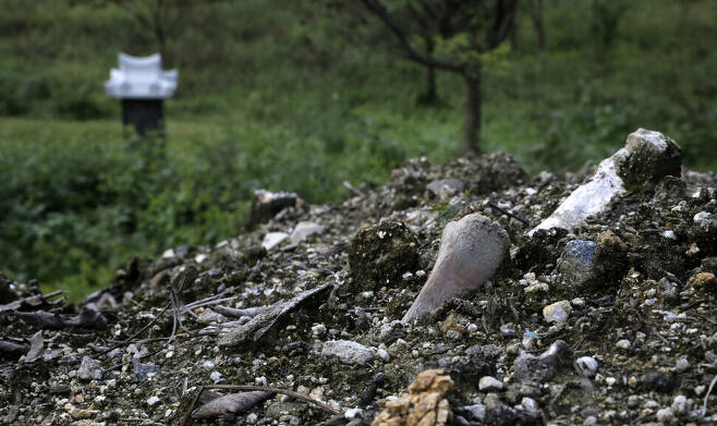 14일 낮 경북 성주군 한 야산에 누군가의 묘 뒤로 동물 사체가 쌓여있다. 성주/김혜윤 기자 unique@hani.co.kr