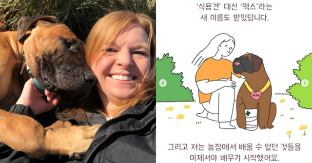 2017년 6월 개 농장에서 구조된 맥스가 새 가족을 만난 이야기가 웹툰(오른쪽)으로 제작됐다. 휴메인소사이어티인터내셔널 제공