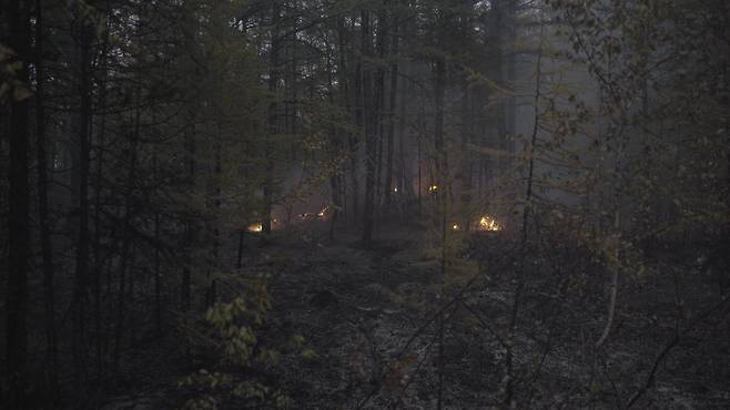시베리아의 숲에선 화재 진압에도 불구하고 땅 속 불길이 끊임없이 살아나 나무를 태웠다. 사진 sreda studio