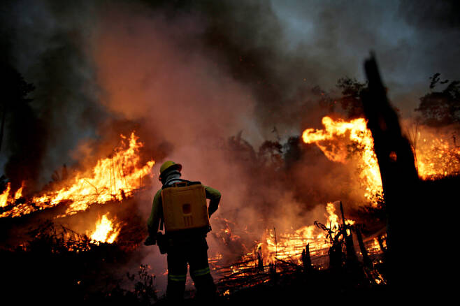 브라질 환경단체 소속 소방대원이 지난 8월 11일(현지시간) 브라질 아마조나스 주 아마존 우림에서 산불을 끄고 있다. 로이터연합뉴스