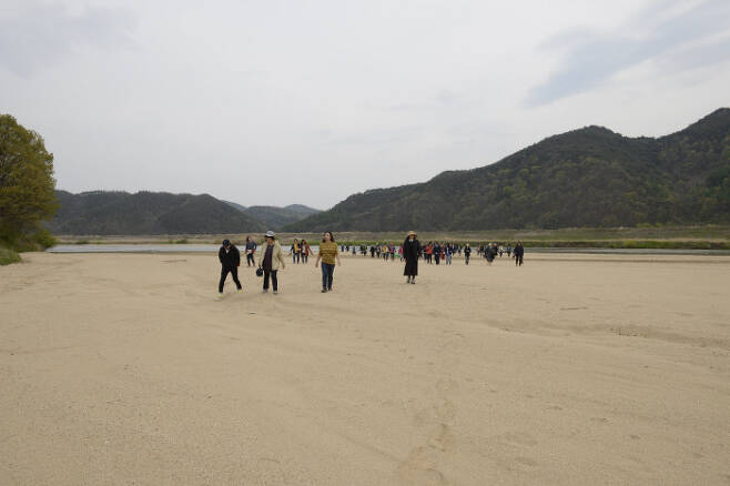 2013년 회룡포의 모습 . 아래 사진과 같은 위치. 생태지평 시민생태조사단 제공.