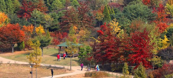 서울 구로구 푸른수목원이 울긋불긋 단풍으로 물들어 있다. 한국관광공사가 꼽은 가을 비대면 관광지 100선 중 하나다. [뉴스1]
