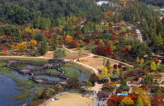 서울 구로구 푸른수목원의 가을 풍경. 쉬엄쉬엄 산책하기 좋은 장소다. [뉴스1]