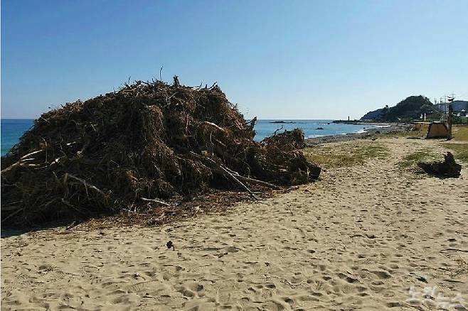 양양지역 해변 곳곳에 해양 쓰레기더미가 높게 쌓여있다.(사진=유선희 기자)