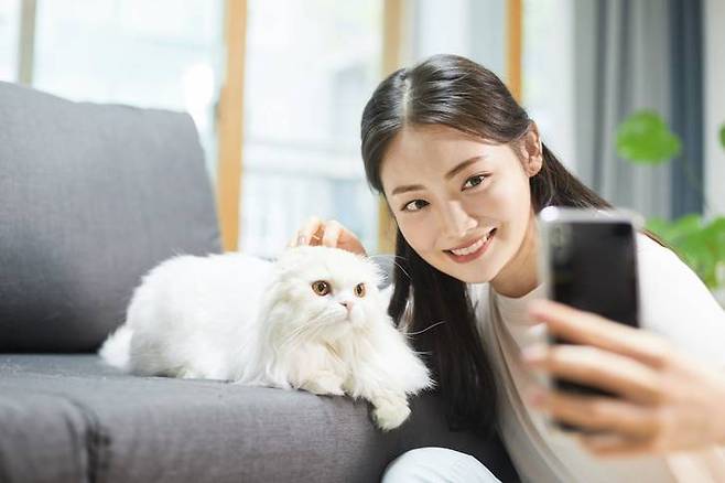 출처=게티이미지뱅크