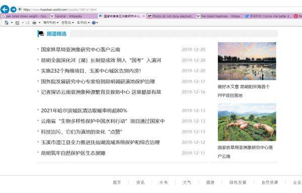 지난해 12월 중국 쿤밍의 코끼리 연구소 개소식을 전한 뉴스에 실린 코끼리 사진. 지난 3월 농가를 급습했다는 코끼리 사진으로 둔갑했다.