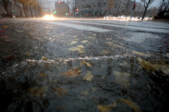 폭우가 내린 19일 서울 종로구에서 불어난 물 위로 낙엽이 떠내려가고 있다. 뉴스1