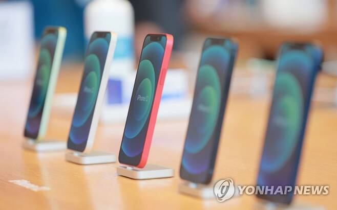 애플 신제품 아이폰12가 정식 출시된 지난달 30일 오전 서울 강남구 신사동 애플 가로수길 매장에 아이폰12가 진열돼 있다. [연합뉴스 자료사진]