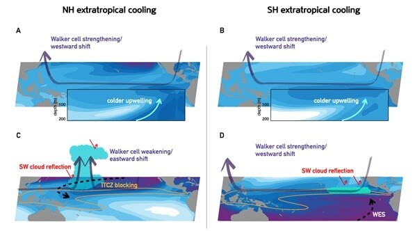 극지 냉각효과가 열대지역에 미치는 영향의 네 가지 시뮬레이션 결과 : (A) (북극 냉각효과, 해양 고려) 북반구 고위도 냉각효과가 열대 동태평양 바닷물의 용승(colder upwelling)을 통해 동서간 해수면 온도차를 늘리고 워커순환(열대 태평양 무역풍)이 강해짐. (B) (남극 냉각효과, 해양 고려) 마찬가지로 워커순환이 강해짐 (C) (북반구 냉각효과, 해양 제외) 열대수렴대(하루 6.5mm의 강우량을 보이는 지역, 노란색선)로 인해 서태평양에 제한적으로 영향을 줌. 또한 구름에 의한 햇빛 반사로 서태평양 온도가 내려감에 따라 동서간 해수면 온도차가 더 줄고 워커순환이 약화됨. (D) (남반구 냉각효과, 해양 제외) 남반구 고위도 냉각효과는 열대수렴대를 피해 열대 동태평양으로 전파됨에 따라 동서간 해수면 온도 편차가 증가하고, 워커순환이 강해짐. 유니스트 제공