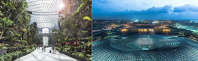 주얼의 실내 정원 `포레스트 밸리` 전경(왼쪽). 중앙의 가로지르는 다리는 바닥이 유리로 된 `캐노피 브리지`다. 오른쪽은 도넛 모양의 건물을 내려다본 모습. /사진 제공=창이국제공항·사프디 아키텍츠