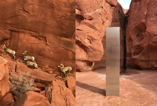 미국 유타주에서 발견된 큰뿔야생양(왼쪽)과 신비로운 비석. /사진=인스타그램 갈무리