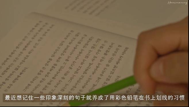 한국어 콘텐츠에 중국어 자막을 달아 중국 플랫폼에 올리고 있는 모습[비리비리 화면 캡처]