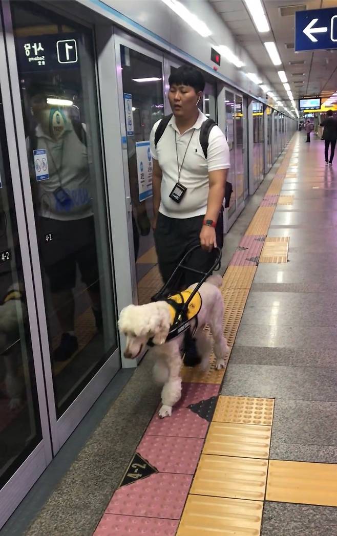 박정훈씨(33)와 그의 안내견 '세찬'이 지하철 역을 걷고 있다./사진제공=박정훈씨