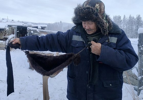 러시아 오이먀콘 마을에서 소 주인이 소에게 브래지어를 만들어 입히고 있다. [시베리안 타임스 트위터]