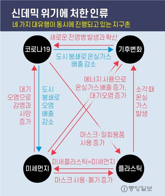 신데믹 위기에 처한 인류. 그래픽=김영옥 기자 yesok@joongang.co.kr