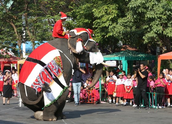 2019년 12월 태국 방콕의 관광지에서 산타 복장을 한 코끼리가 관광객들 앞에서 공연하고 있다. [EPA=연합뉴스]