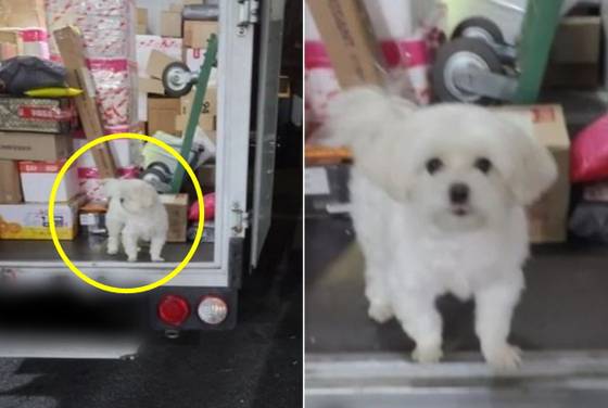 (출처: 온라인 커뮤니티)
