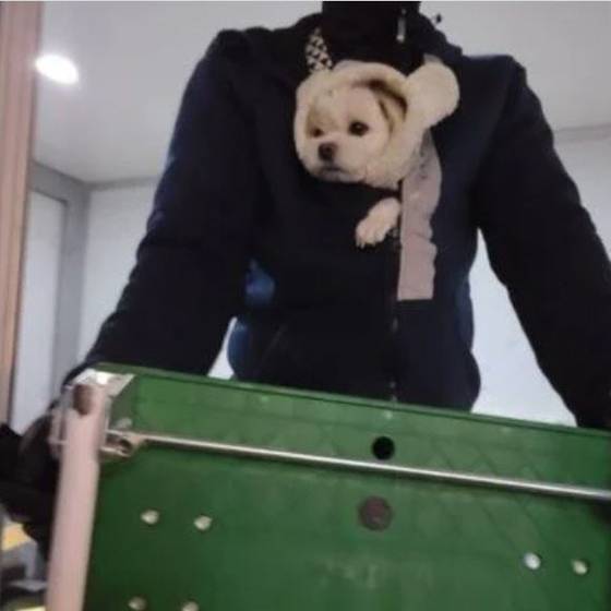 (출처: 온라인 커뮤니티)