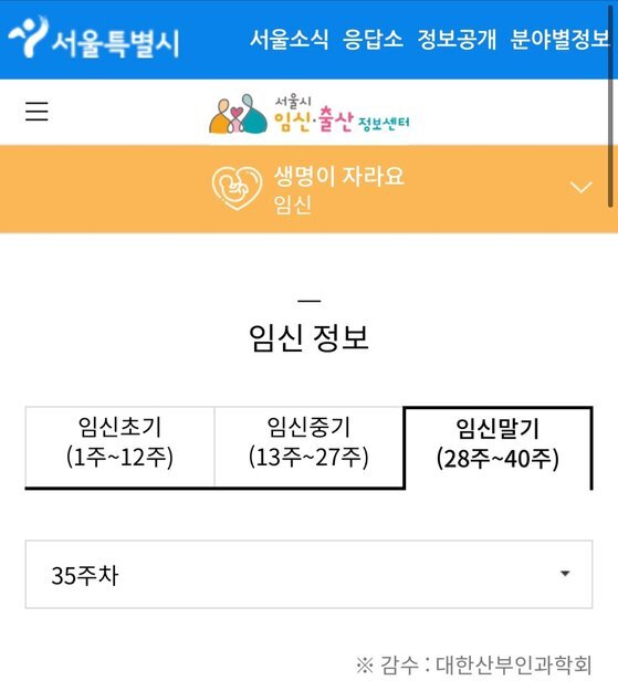 서울시임신출산정보센터 홈페이지 캡처
