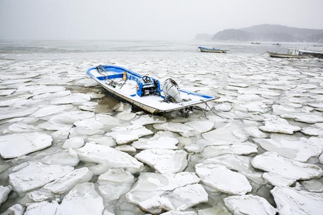 한파경보가 발효된 충남 서산 지곡면 중왕리 인근 서산 가로림만 바닷물이 얼어 있다. 서산시 제공