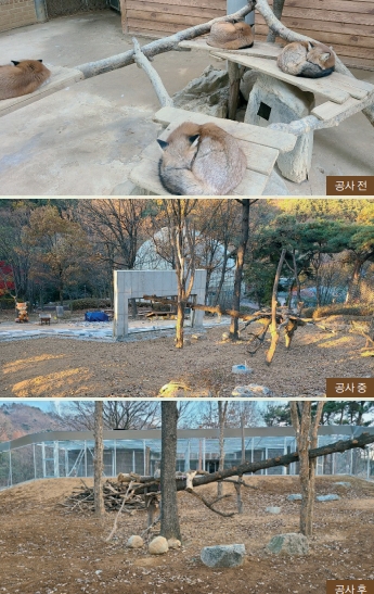 붉은여우 '김서방'을 위해 마련한 공간. 청주동물원 제공