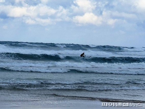 한파가 덮친 제주바다에서 서핑을 하고 있는 관광객 [사진=제주해경 제공]