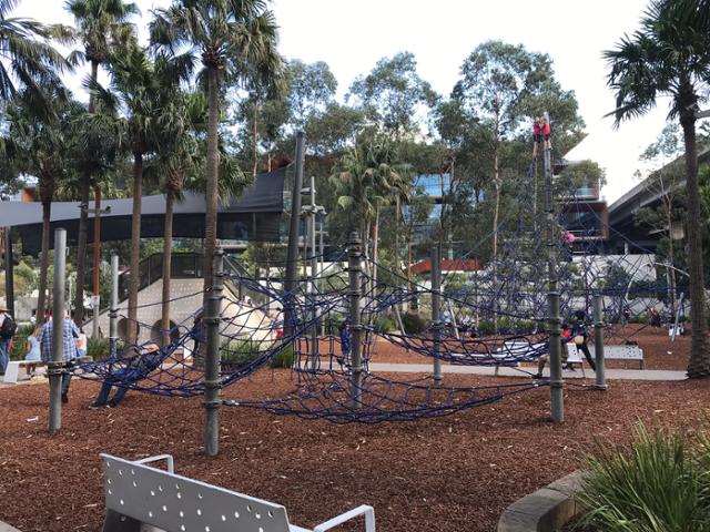 호주 시드니 도심의 놀이터에서 어린이들이 구조물의 높은 곳으로 올라가고 있다. 이동학 작가