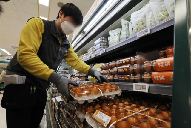 고병원성 조류인플루엔자(AI)의 확산으로 계란 값이 상승하고 있는 6일 서울 시내 한 마트에서 직원이 계란을 정리하고 있다. 뉴스1